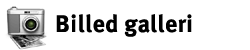 Billedgalleri